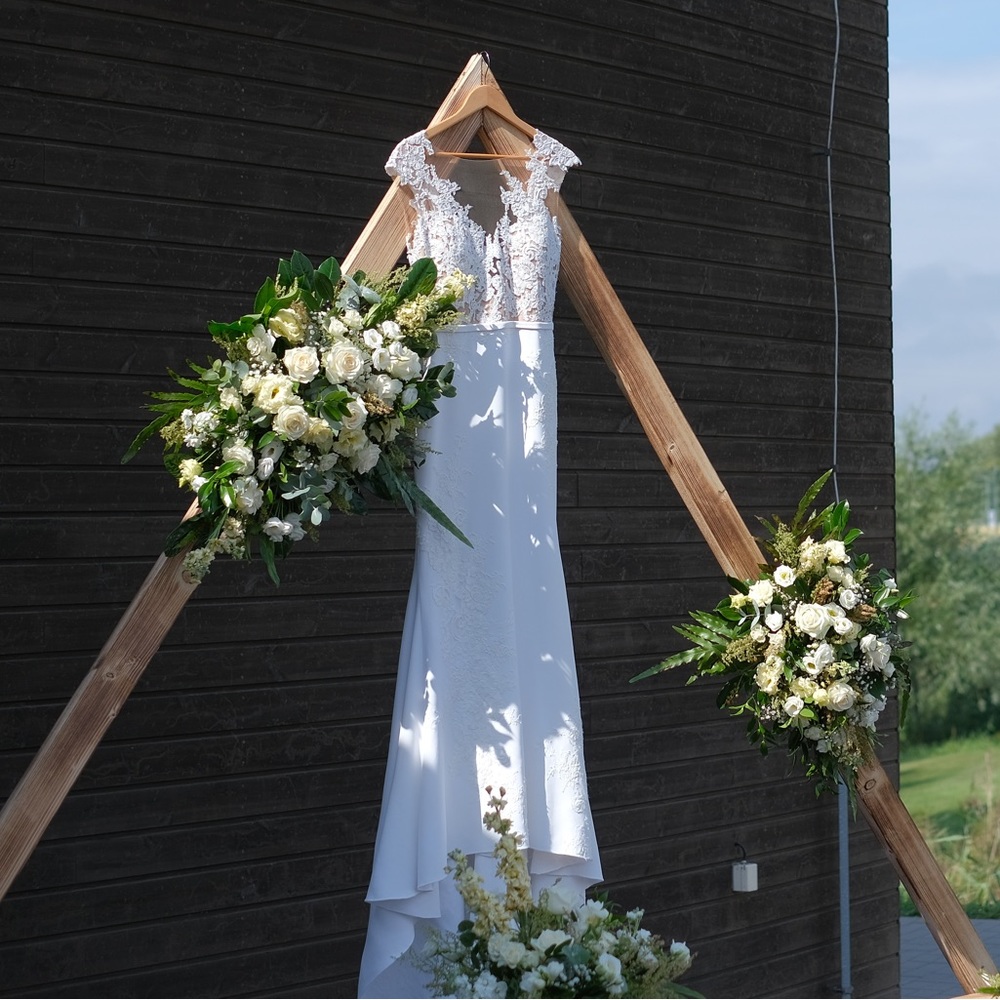 Pronovias Vicenta Wedding Dress